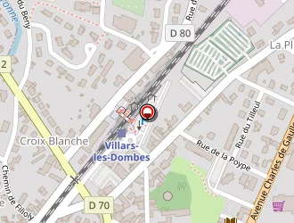 Carte de Maeva Fleurs à Villars-les-dombes