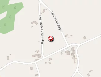 Carte de Aucourt Patrick à Saint-alban-les-eaux