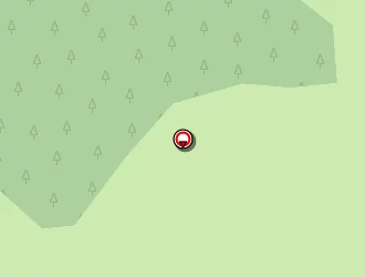 Carte de Roche Raymond à Laprugne