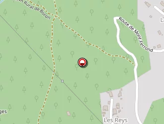 Carte de Dieny Stéphane à Magland