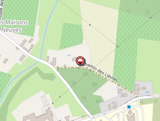 Carte de Rammeloo Violaine à Arnas