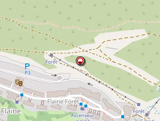 Carte de Topolino à Flaine