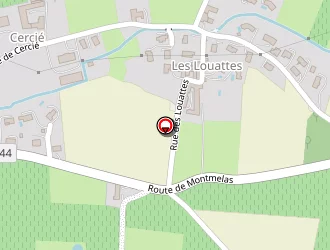 Carte de Paldino Fréderic Terrassement à Denicé