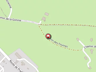 Carte de Nigron à Saint-vincent-de-boisset