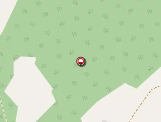 Carte de Millord Jean-claude à Blond