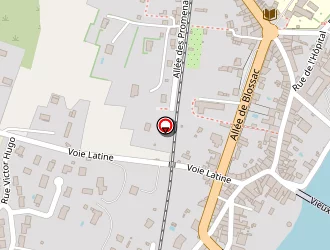 Carte de Pont Vieux à Confolens