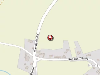 Carte de Des Grands Tilleuls (earl) à Bussières-et-pruns