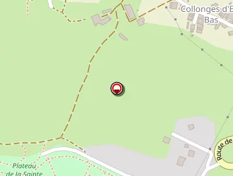 Carte de Anten' Elec à Frangy