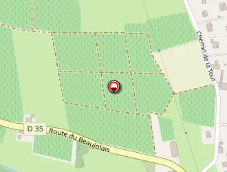 Carte de Prevel Nelly à Saint-julien