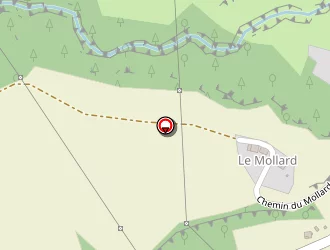 Carte de Mairie à Surjoux