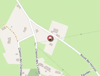 Carte de Chazeau Luc à Perreux