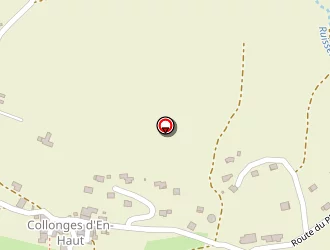 Carte de Cumming David à Frangy