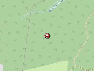 Carte de Chamoux Jérôme à Saint-sixt