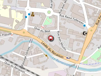 Carte de Perret Nicolas à Roanne