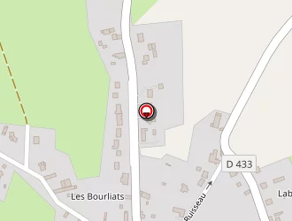 Carte de Buisson Jean à Saint-priest-bramefant