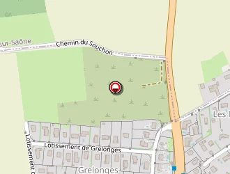 Carte de Fourel Serge à Fareins