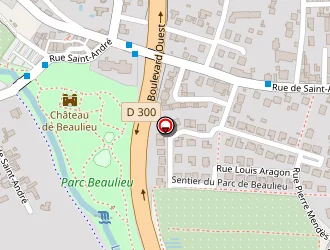 Carte de Rieme Michel à Riorges