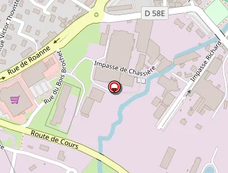 Carte de Vision Plus à Bourg-de-thizy