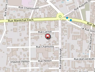 Carte de Lion Eric à Riorges