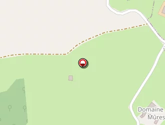 Carte de Girard Vincent à Perreux