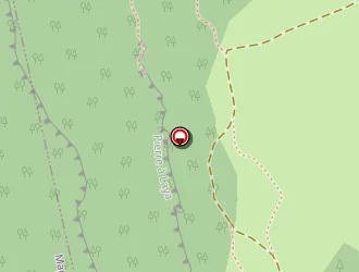 Carte de Guy Pierre à Nancy-sur-cluses