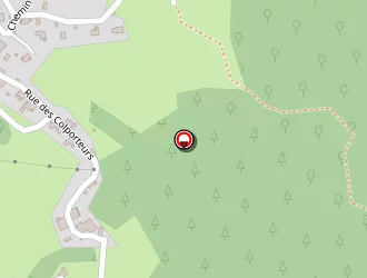 Carte de Guffon Hervé à Nancy-sur-cluses