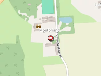 Carte de La Bicheronne à Fareins