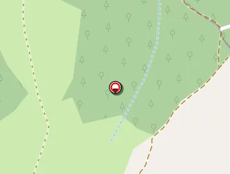 Carte de Narboux Jérôme à Montagny