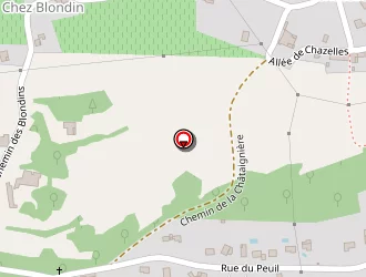 Carte de Ferret Thierry à Renaison