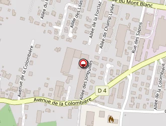 Carte de Cn 112 à Scionzier