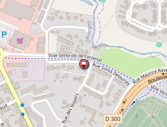 Carte de Bonnefoy Mickaël à Riorges