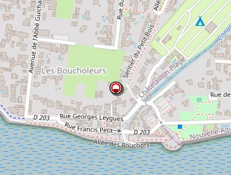 Carte de Delafosse Damien à Châtelaillon-plage