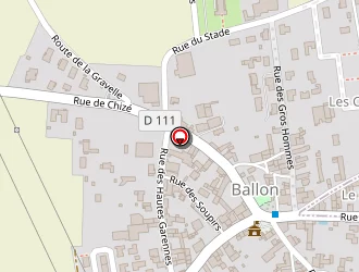 Carte de Salle Polyvalente à Ballon