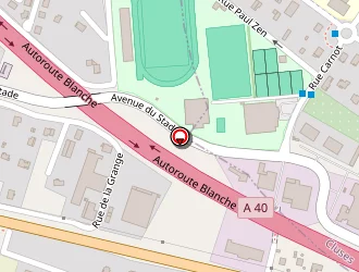 Carte de Saint-dizier Frédéric à Scionzier