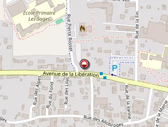 Carte de Savoie Polyrodage à Marnaz