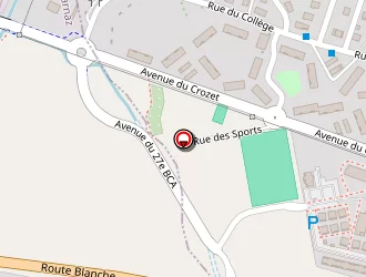 Carte de Delta Services Informatique à Marnaz