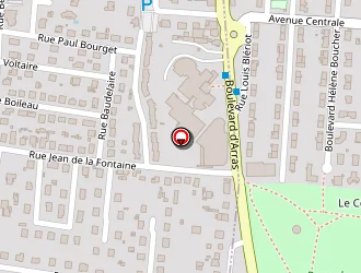 Carte de Foraison Vincent à Roanne