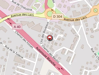 Carte de Violland Laurent à Scionzier