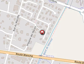 Carte de Patsy à Marnaz