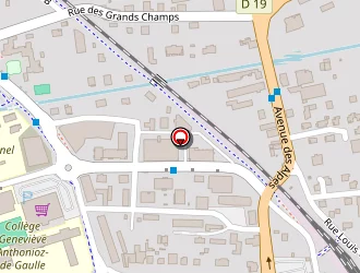 Carte de Piton Des Neiges à Cluses