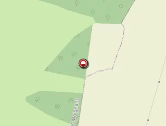 Carte de Clair Sylvain à Saint-trivier-sur-moignans