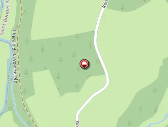 Carte de Roche Marion à Saint-bonnet-le-troncy