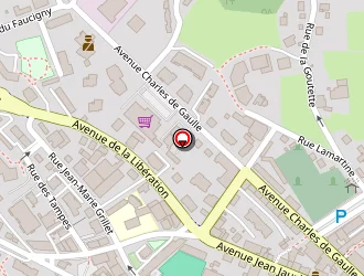 Carte de 123@1formatique à Roche-sur-foron (la)