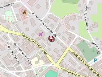 Carte de Foron Multimedia à Roche-sur-foron (la)