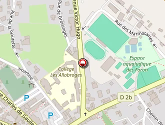 Carte de Pulsion à Roche-sur-foron (la)