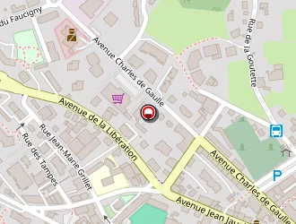 Carte de Garage Multimarques à Roche-sur-foron (la)