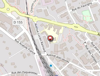 Carte de Multiservice 74 à Roche-sur-foron (la)