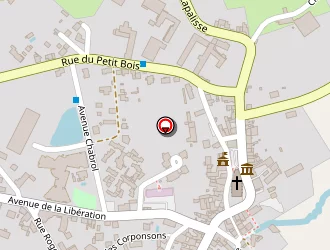 Carte de La Poste à Mayet-de-montagne (le)