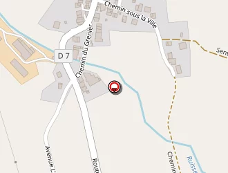 Carte de Fontes Michel à Savigny