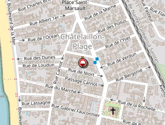 Carte de Librairie Du Chat Qui Lit à Châtelaillon-plage